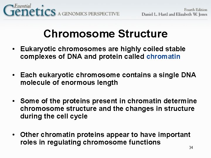 Chromosome Structure • Eukaryotic chromosomes are highly coiled stable complexes of DNA and protein