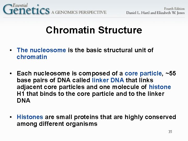 Chromatin Structure • The nucleosome is the basic structural unit of chromatin • Each