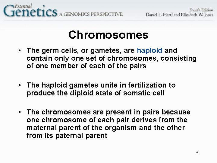Chromosomes • The germ cells, or gametes, are haploid and contain only one set