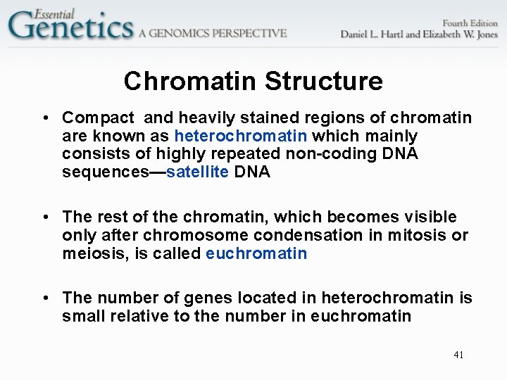 Chromatin Structure • Compact and heavily stained regions of chromatin are known as heterochromatin