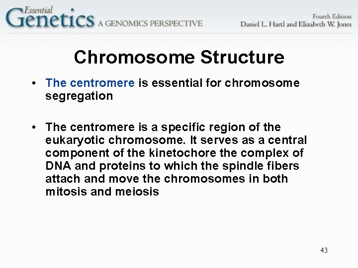 Chromosome Structure • The centromere is essential for chromosome segregation • The centromere is