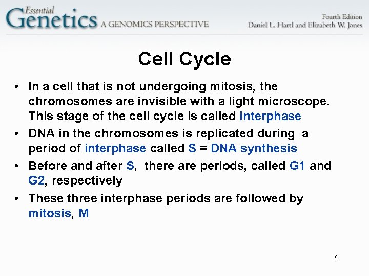 Cell Cycle • In a cell that is not undergoing mitosis, the chromosomes are