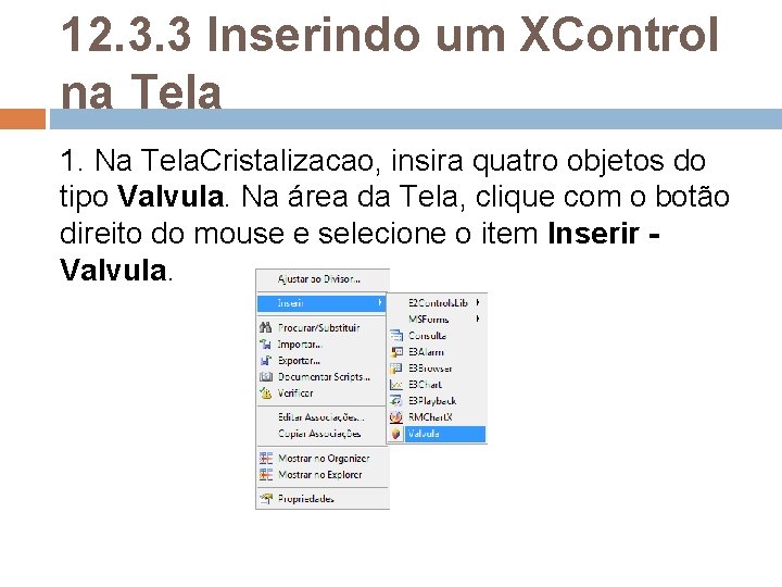 12. 3. 3 Inserindo um XControl na Tela 1. Na Tela. Cristalizacao, insira quatro