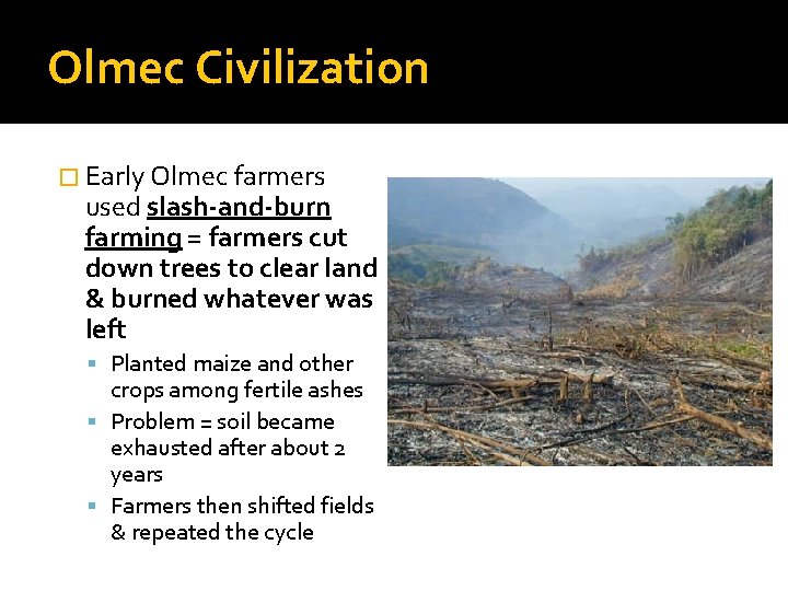 Olmec Civilization � Early Olmec farmers used slash-and-burn farming = farmers cut down trees