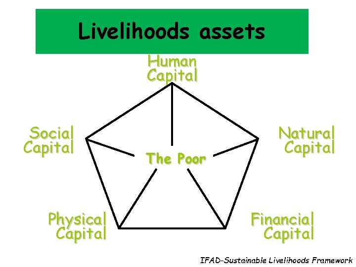 Livelihoods assets Human Capital Social Capital Physical Capital The Poor Natural Capital Financial Capital