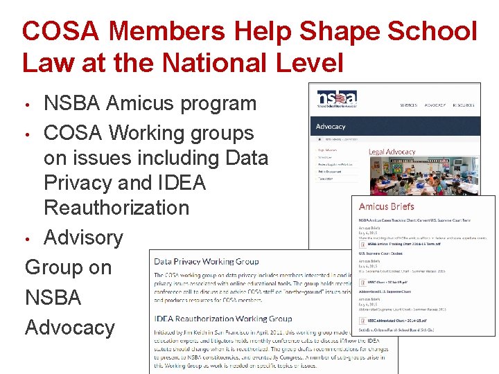 COSA Members Help Shape School Law at the National Level NSBA Amicus program •