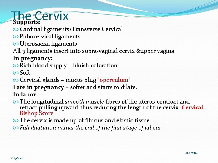 The Cervix Supports: Cardinal ligaments/Transverse Cervical Pubocervical ligaments Uterosacral ligaments All 3 ligaments insert