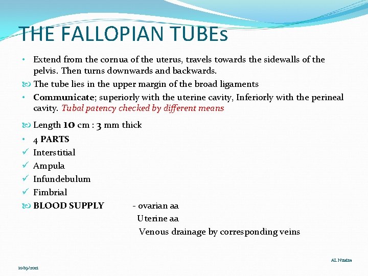 THE FALLOPIAN TUBEs • Extend from the cornua of the uterus, travels towards the