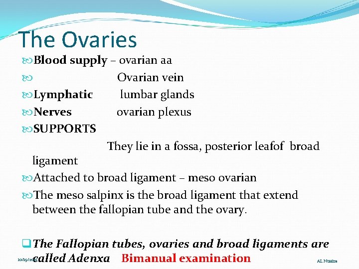 The Ovaries Blood supply – ovarian aa Ovarian vein Lymphatic lumbar glands Nerves ovarian