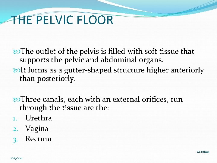 THE PELVIC FLOOR The outlet of the pelvis is filled with soft tissue that