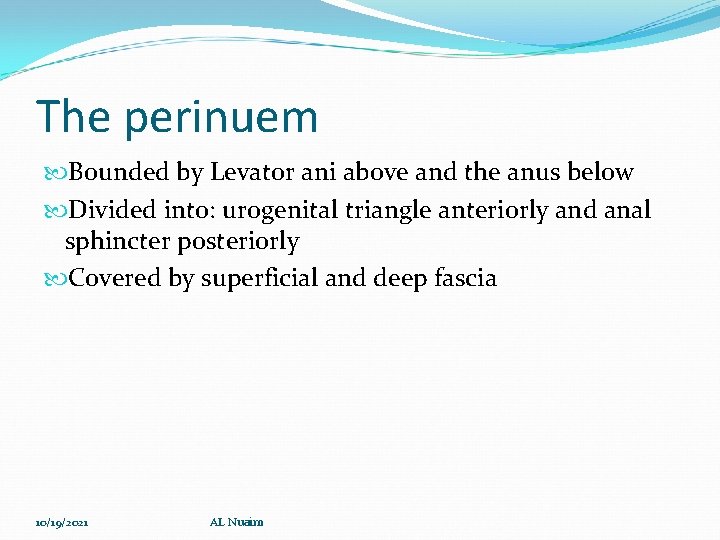 The perinuem Bounded by Levator ani above and the anus below Divided into: urogenital