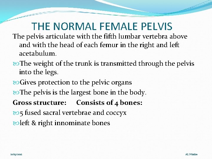 THE NORMAL FEMALE PELVIS The pelvis articulate with the fifth lumbar vertebra above and