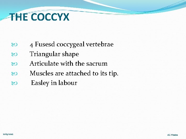 THE COCCYX 10/19/2021 4 Fusesd coccygeal vertebrae Triangular shape Articulate with the sacrum Muscles