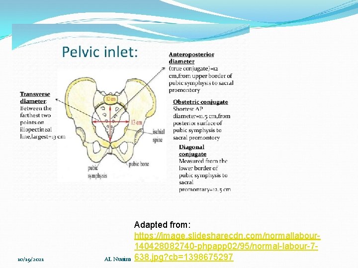 10/19/2021 AL Nuaim Adapted from: https: //image. slidesharecdn. com/normallabour 140428082740 -phpapp 02/95/normal-labour-7638. jpg? cb=1398675297