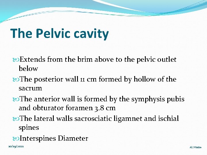 The Pelvic cavity Extends from the brim above to the pelvic outlet below The