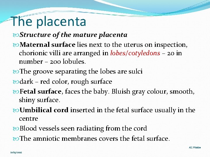 The placenta Structure of the mature placenta Maternal surface lies next to the uterus