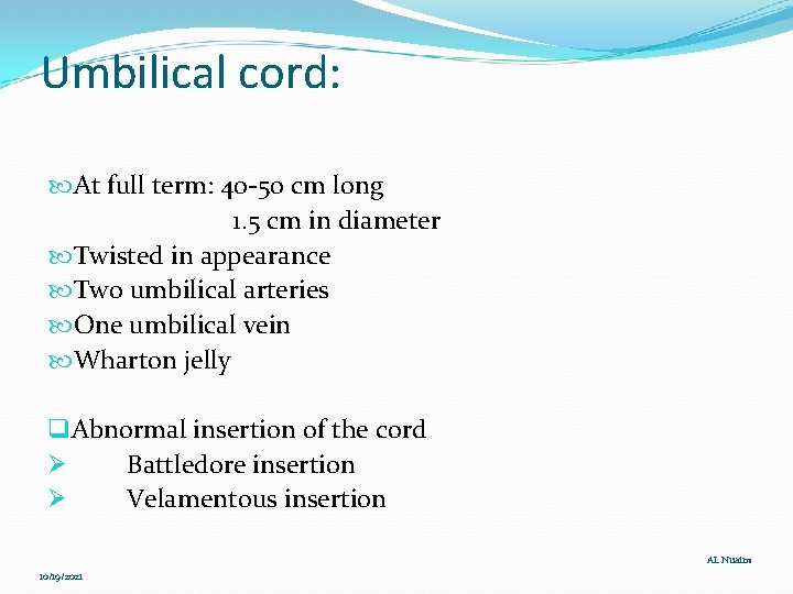Umbilical cord: At full term: 40 -50 cm long 1. 5 cm in diameter