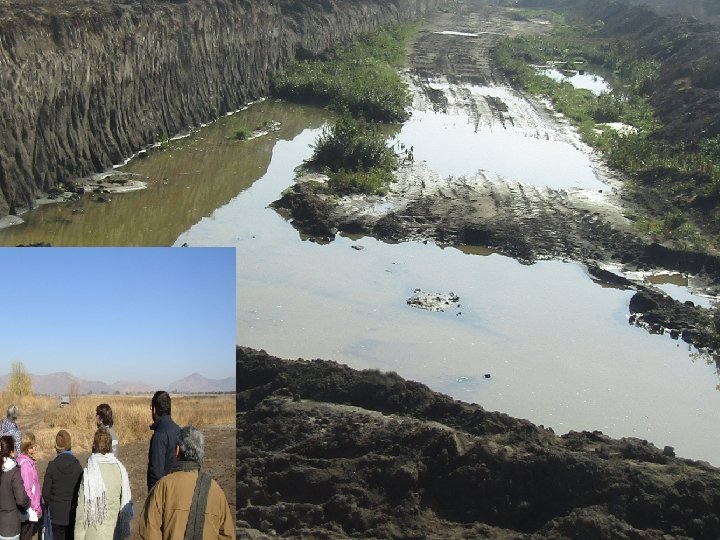 Consejo Defensa del Medio Ambiente de Maipú 