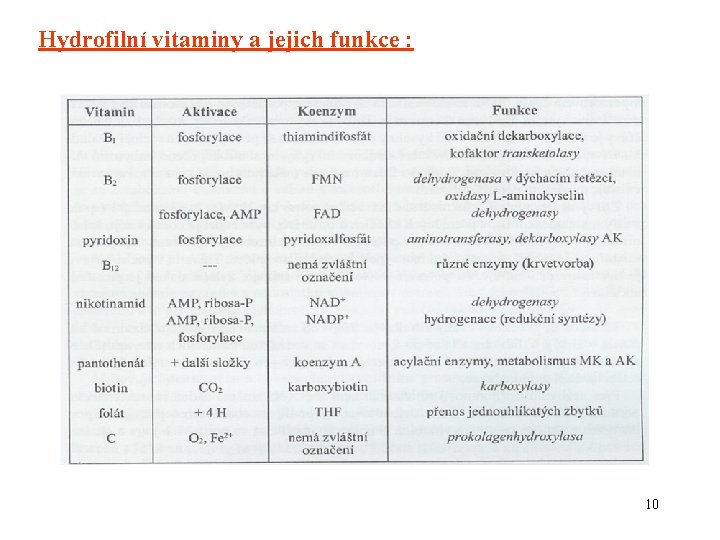 Hydrofilní vitaminy a jejich funkce : 10 