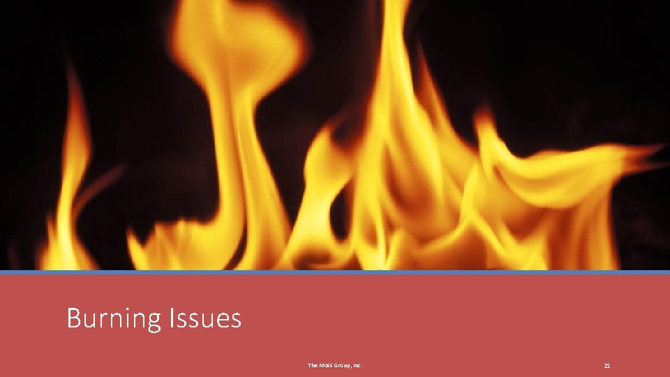 Burning Issues The Moss Group, Inc. 21 