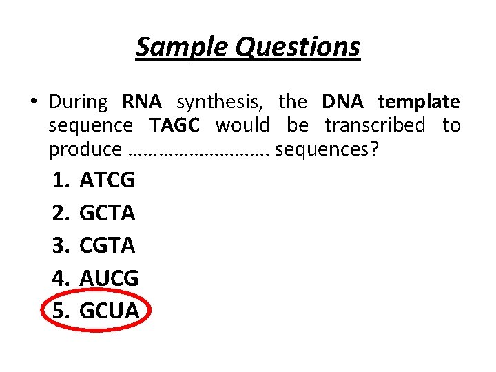 Sample Questions • During RNA synthesis, the DNA template sequence TAGC would be transcribed