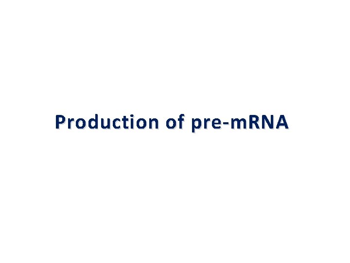 Production of pre-m. RNA 