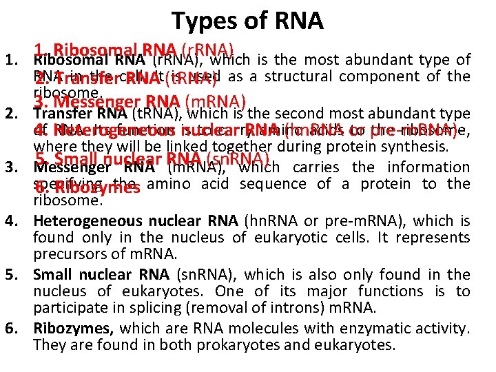Types of RNA 1. Ribosomal RNA (r. RNA), which is the most abundant type