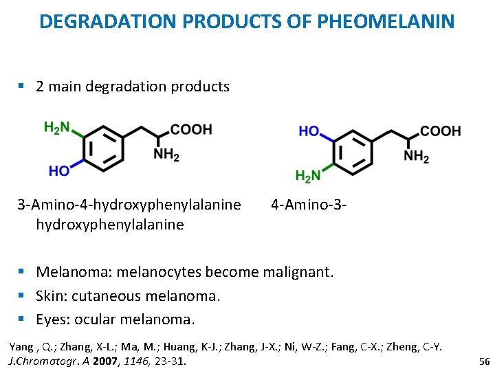 DEGRADATION PRODUCTS OF PHEOMELANIN § 2 main degradation products 3 -Amino-4 -hydroxyphenylalanine 4 -Amino-3