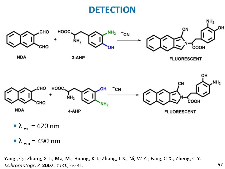 DETECTION § λ ex = 420 nm § λ em = 490 nm Yang