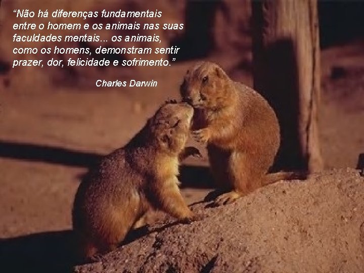 “Não há diferenças fundamentais entre o homem e os animais nas suas faculdades mentais.