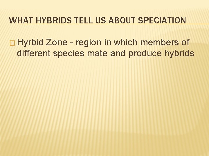 WHAT HYBRIDS TELL US ABOUT SPECIATION � Hyrbid Zone - region in which members