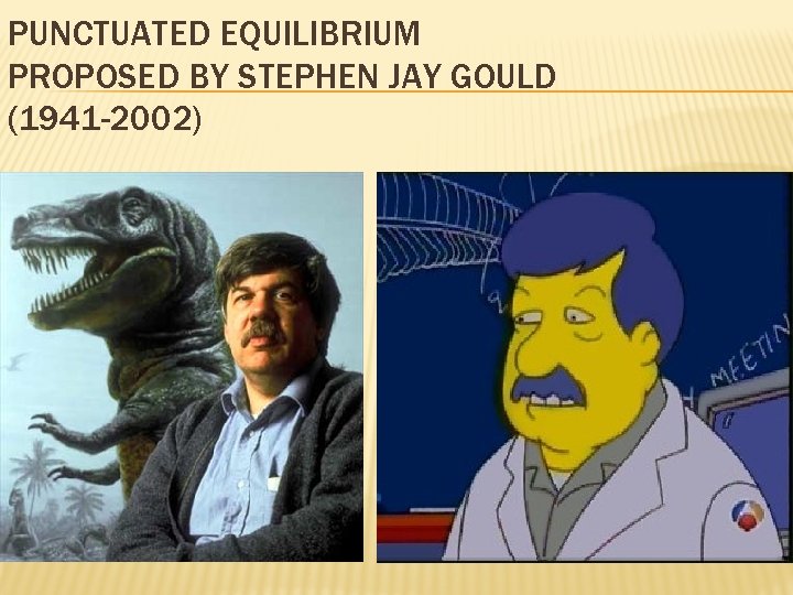 PUNCTUATED EQUILIBRIUM PROPOSED BY STEPHEN JAY GOULD (1941 -2002) 