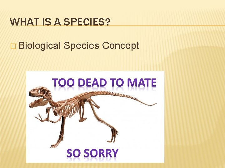 WHAT IS A SPECIES? � Biological Species Concept 