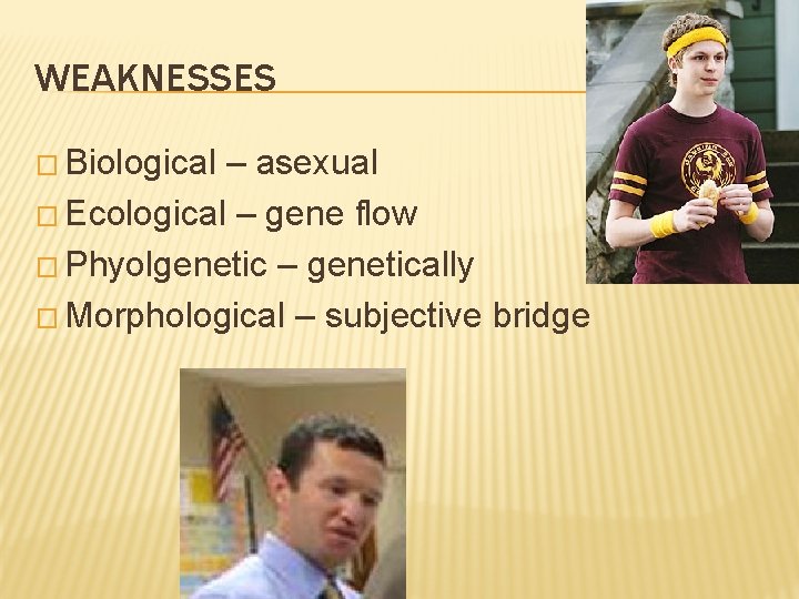 WEAKNESSES � Biological – asexual � Ecological – gene flow � Phyolgenetic – genetically