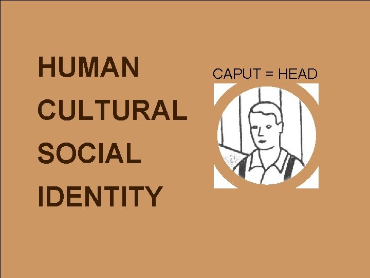 HUMAN CULTURAL SOCIAL IDENTITY CAPUT = HEAD 