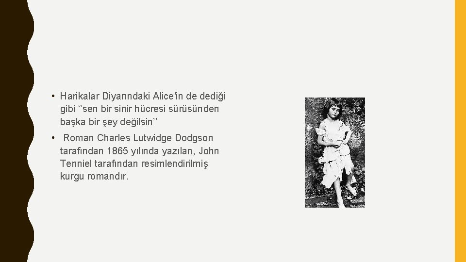  • Harikalar Diyarındaki Alice'in de dediği gibi ‘’sen bir sinir hücresi sürüsünden başka