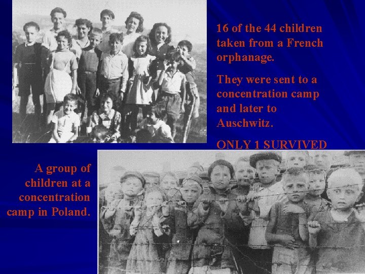 16 of the 44 children taken from a French orphanage. They were sent to