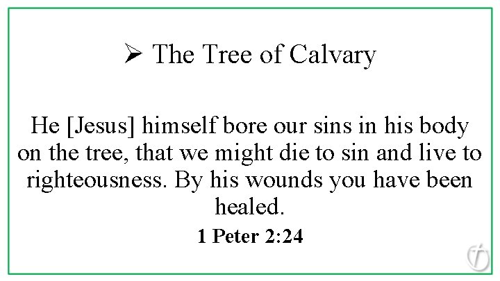 Ø The Tree of Calvary He [Jesus] himself bore our sins in his body