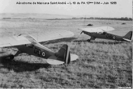 Aérodrome de Mascara-Saint André – L-18 du PA 13ème DIM – Juin 1956 (Hervé