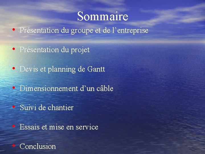 Sommaire • Présentation du groupe et de l’entreprise • Présentation du projet • Devis