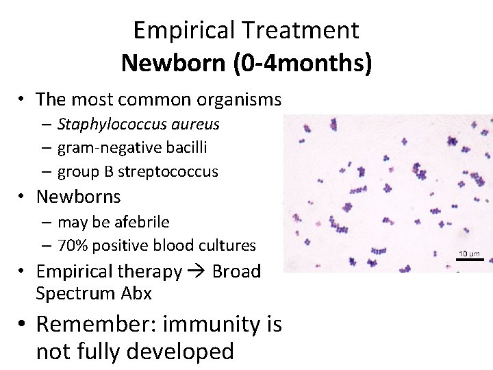 Empirical Treatment Newborn (0 -4 months) • The most common organisms – Staphylococcus aureus