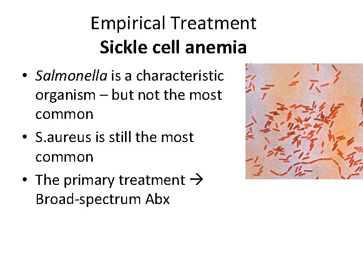 Empirical Treatment Sickle cell anemia • Salmonella is a characteristic organism – but not