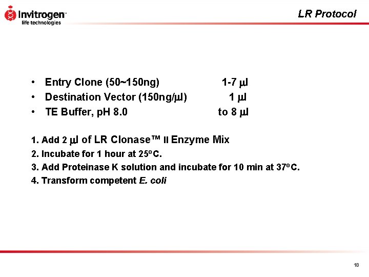 LR Protocol • Entry Clone (50~150 ng) • Destination Vector (150 ng/ l) •