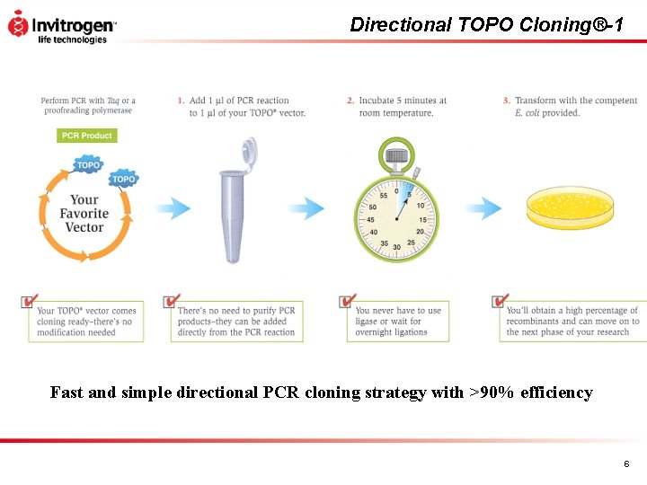 Directional TOPO Cloning®-1 Fast and simple directional PCR cloning strategy with >90% efficiency 6