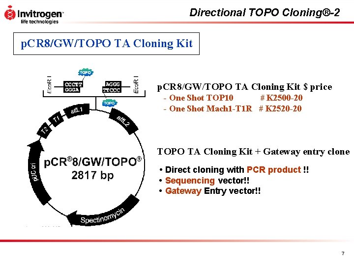 Directional TOPO Cloning®-2 p. CR 8/GW/TOPO TA Cloning Kit $ price - One Shot