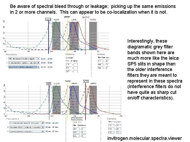 Be aware of spectral bleed through or leakage; picking up the same emissions in
