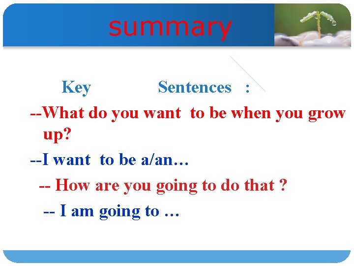 summary Key Sentences : --What do you want to be when you grow up?