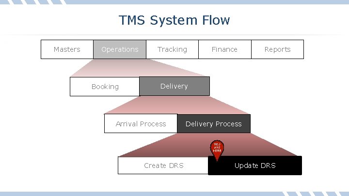 TMS System Flow Masters Operations Booking Tracking Finance Reports Delivery Arrival Process Create DRS