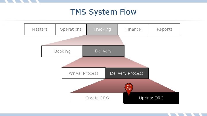 TMS System Flow Masters Operations Booking Tracking Finance Reports Delivery Arrival Process Create DRS