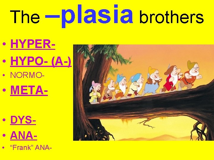 The –plasia brothers • HYPER • HYPO- (A-) • NORMO- • META • DYS